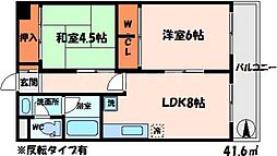 メリッサ錦