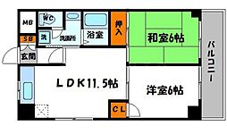 エバーグリーン旭