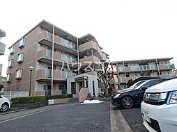 フレアウイング林 203