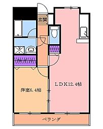 ピーノドゥーエ 507