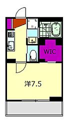 セント　ホルン 205