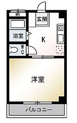 ステラコート 204