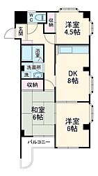 グリーンエール 305