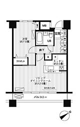 ＬＯＯＰ−Ｍ 303