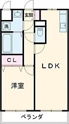 モア　ベリー 401