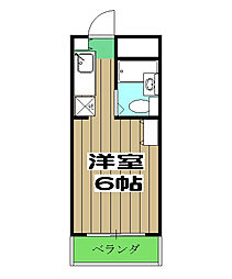 ライブカントリーエイト 205