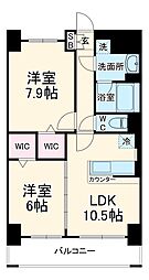 Ｄｅｎｄｒｉｔｅ 205