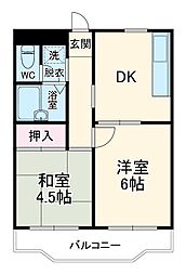 ルミエール本多 501