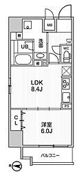 ROOTs Kikukawa 501