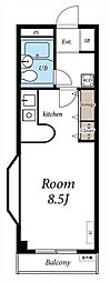 Southern Garden 205