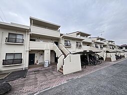 エルベマノワール 203