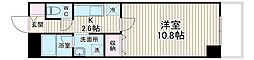 アイリス 101