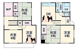 ネコと子犬のワルツ 1