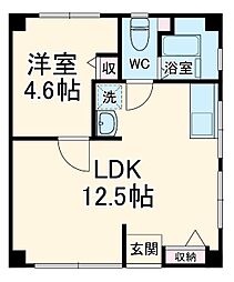 シラハニテラス 202