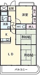 ピアチェーレ 205