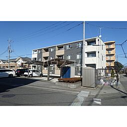 S.トリフォリア 101