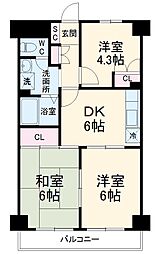 グレイスコート蕨