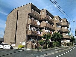 ダイコウマンション 1E