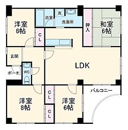 ハセはなみずき