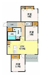 ＨａＬｅＬｅａ 202