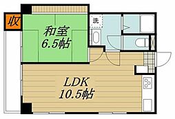 ハイネス国分寺ルミエール 501