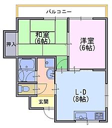 コンポステラ 203