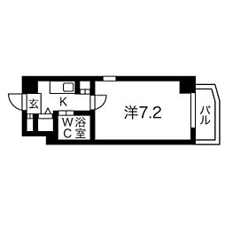 ファーストスプリング