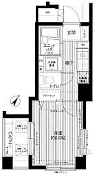 メインステージ護国寺II 804