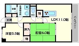 グレイシィーＫ・Ｙ