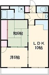 シャルムピエス 305