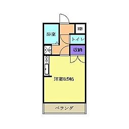 スパークルムライ 301