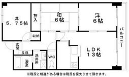 ブエナビスタ和泉中央 405