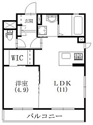 オランジュリー 301