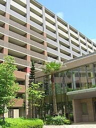 ライオンズマンションセントワーフ横濱パームコート 217