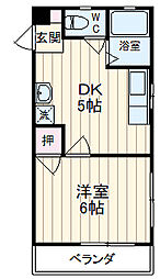 藤フラッター 301