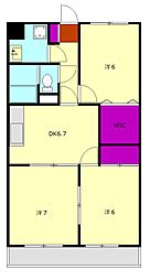 パレスコスモス