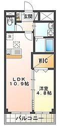 スターフラワー