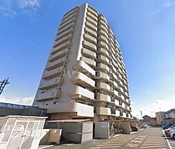 サエラ14ｔｈ 1201