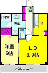 Ｓｏｐｈｉａ　Ｇｒａｃｅ