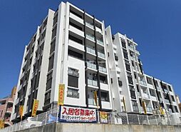 グレイスベル 205