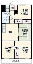 コーニッシュ西中島 503