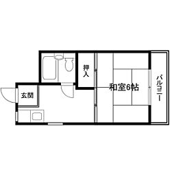 セントポーリア