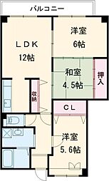 グレース泉大津 104