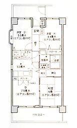 フォンテーヌ綱島 205
