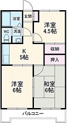 越・ゴールデンフラット