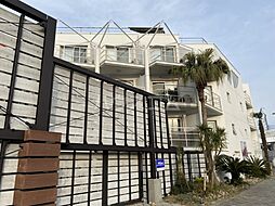 Ｐａｌｍ　Ｌｏｕｎｇｅ