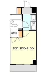 カテリーナ生田 102