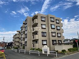 エクシード36 210