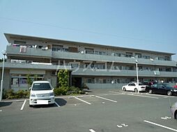 ニューラフィーネ 307