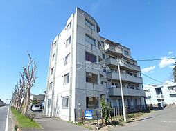 Ｓｈｅｌｌ　Ｒｏｏｍ 302